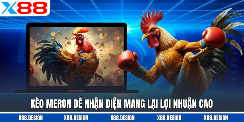 ĐÁ GÀ Kèo Meron dễ nhận diện mang lại lợi nhuận cao