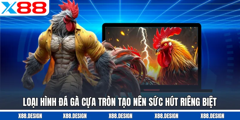 ĐÁ GÀ Loại hình đá gà cựa tròn tạo nên sức hút riêng biệt